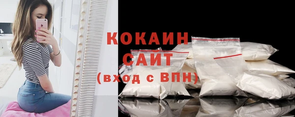 твердый Арсеньев